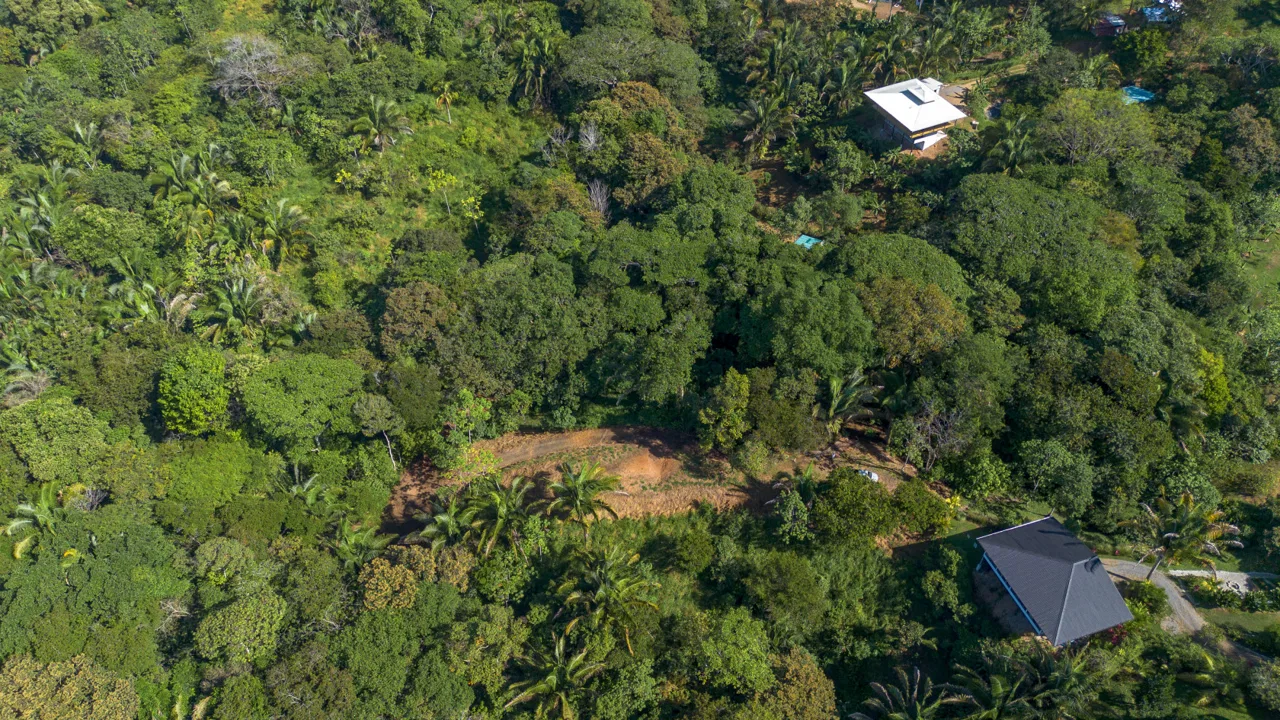 2 SIDE BY SIDE JUNGLE LOTS IN DESIDED PLAYA HERMOSA COMMUNITY – 2.5 ACRES, photo 21