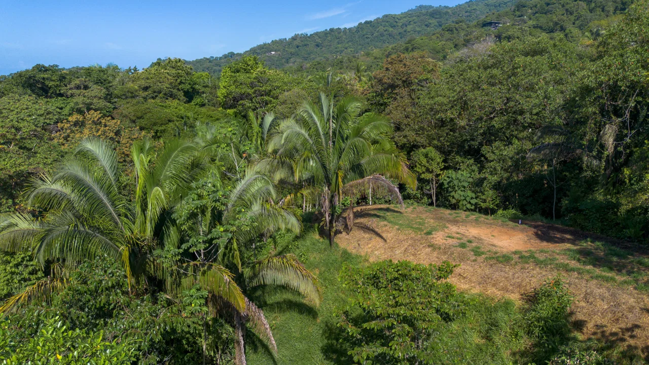 2 SIDE BY SIDE JUNGLE LOTS IN DESIDED PLAYA HERMOSA COMMUNITY – 2.5 ACRES, photo 5