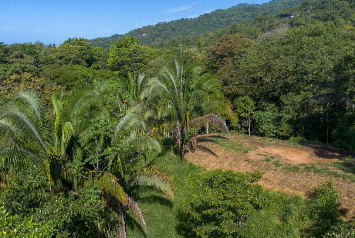 2 SIDE BY SIDE JUNGLE LOTS IN DESIDED PLAYA HERMOSA COMMUNITY – 2.5 ACRES, photo 6