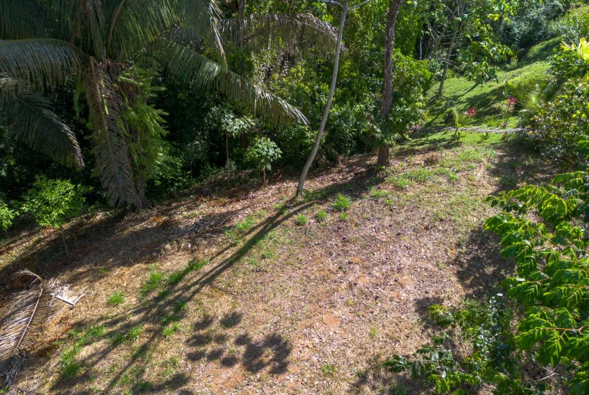 2 SIDE BY SIDE JUNGLE LOTS IN DESIDED PLAYA HERMOSA COMMUNITY – 2.5 ACRES, photo 10