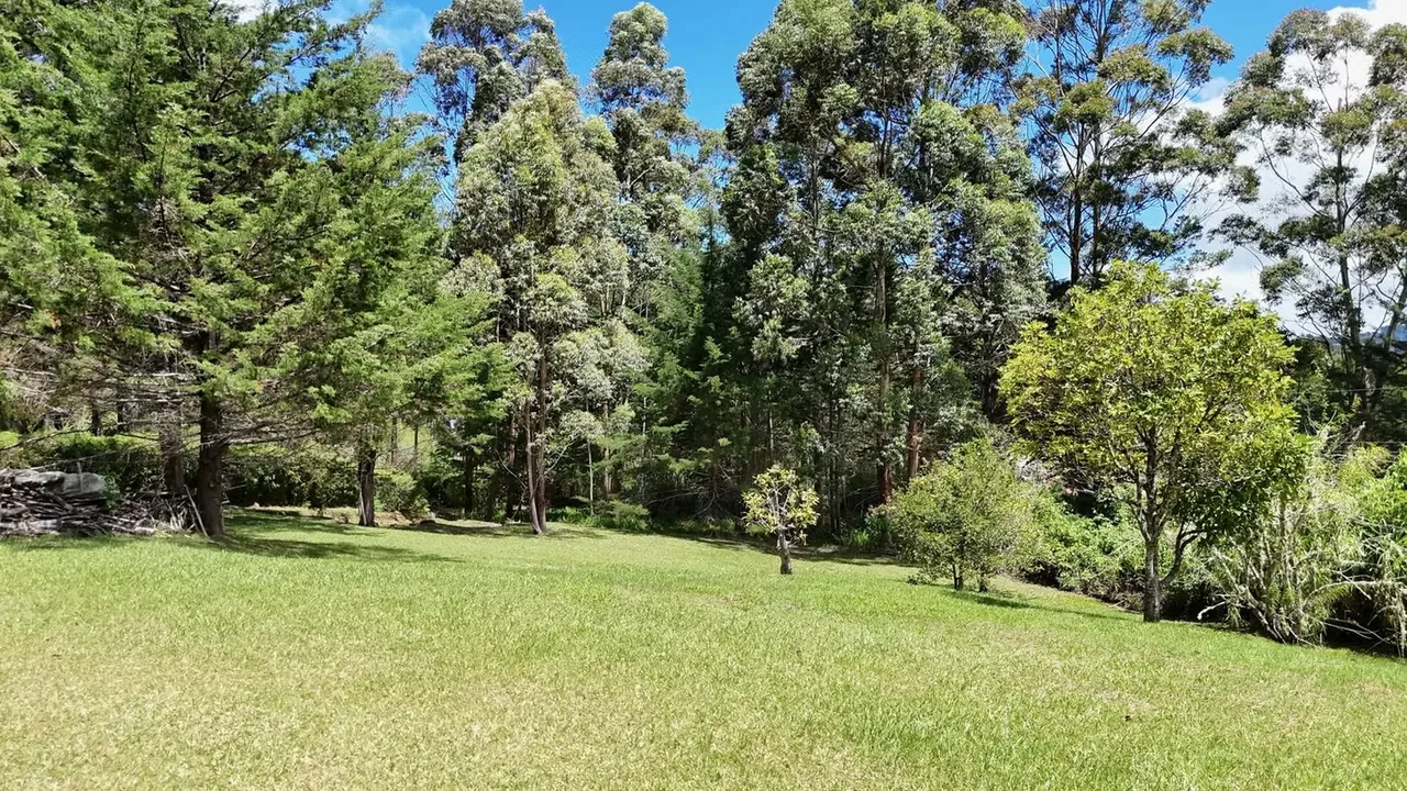 2.1-acre lot (8,486 m² / 91,340 sq ft) in Jardín de Dota, Zona de los Santos, at about 6,560 ft (2,000 m) ...