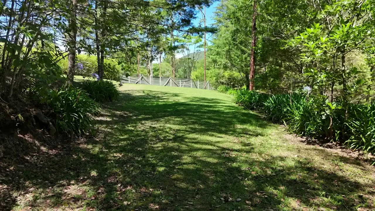 2.1-acre lot (8,486 m² / 91,340 sq ft) in Jardín de Dota, Zona de los Santos, at about 6,560 ft (2,000 m) ..., photo 3