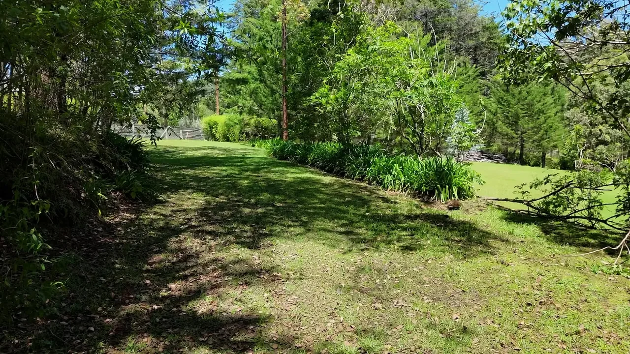 2.1-acre lot (8,486 m² / 91,340 sq ft) in Jardín de Dota, Zona de los Santos, at about 6,560 ft (2,000 m) ..., photo 5