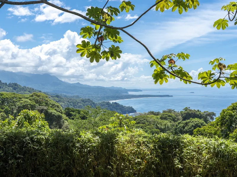 5 Bed Single Family Homes For Sale in Dominical, photo 12