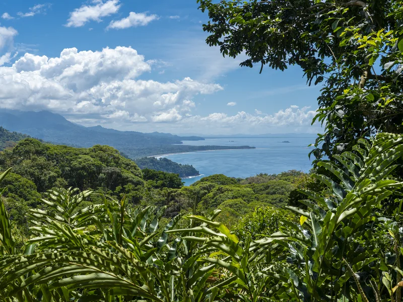 5 Bed Single Family Homes For Sale in Dominical, photo 3