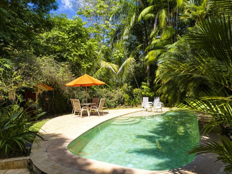 5 Bed Single Family Homes For Sale in Dominical, photo 4