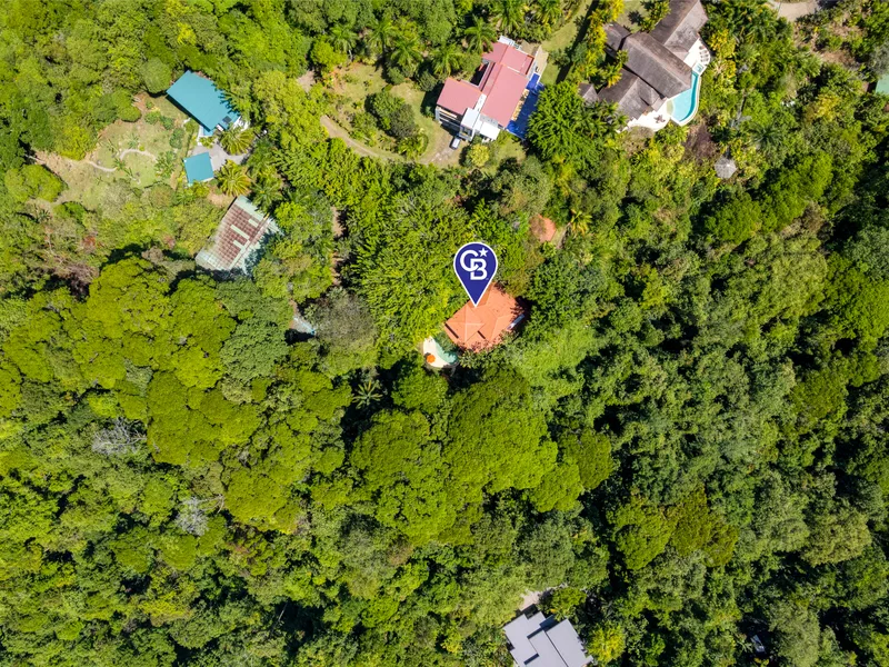 5 Bed Single Family Homes For Sale in Dominical, photo 6