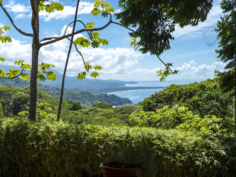 5 Bed Single Family Homes For Sale in Dominical, photo 10