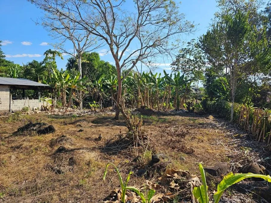 Venta de lote en Daniel Flores Pérez Zeledón - Venta en Daniel Flores