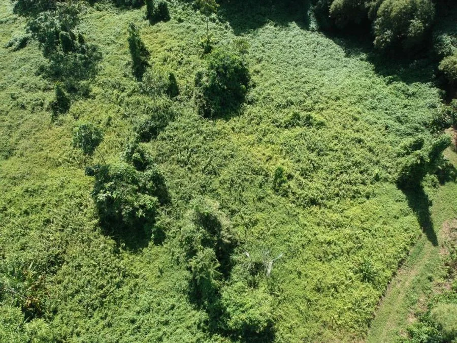 Lote en Venta en Sarapiquí, Heredia. RAH 23-2890 - Venta en Sarapiquí