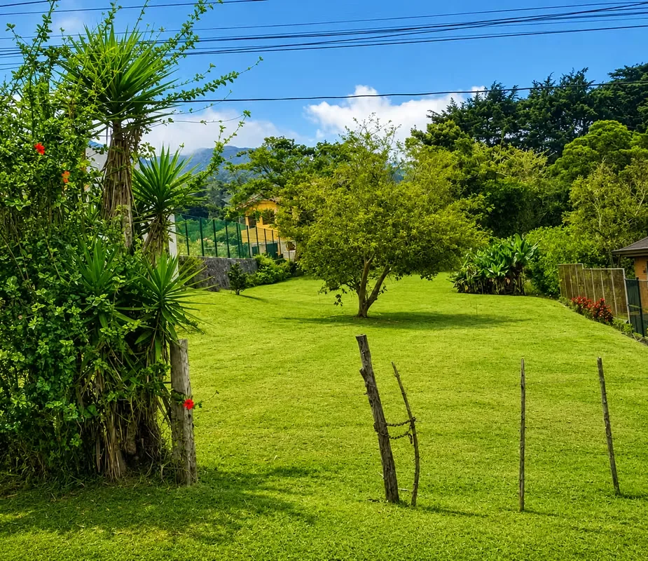 Descubra este hermoso lote ubicado en una zona de alta ...