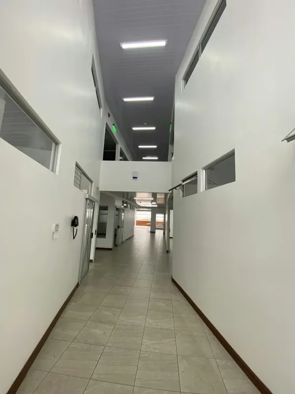 Alquiler de propiedad corporativa ideal para oficinas, photo 3