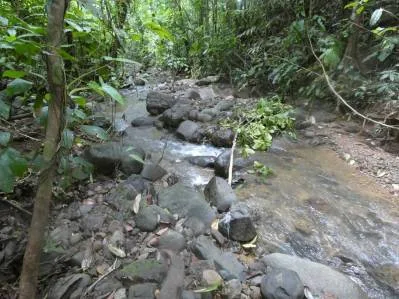 Lote privado en la jungla de Caracara Ridge, bordeado por un río Lote n.° 15, photo 8