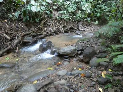 Lote privado en la jungla de Caracara Ridge, bordeado por un río Lote n.° 15, photo 10