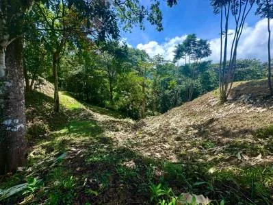 Lote listo para construir | Fácil acceso y vistas espectaculares a las montañas, photo 4
