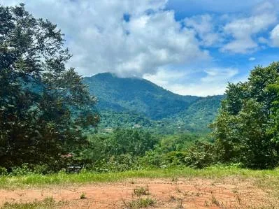 Lote listo para construir | Fácil acceso y vistas espectaculares a las montañas, photo 5