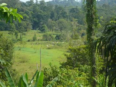Lotes en proyecto ecologico, photo 5