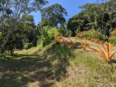 Lotes en proyecto ecologico, photo 6