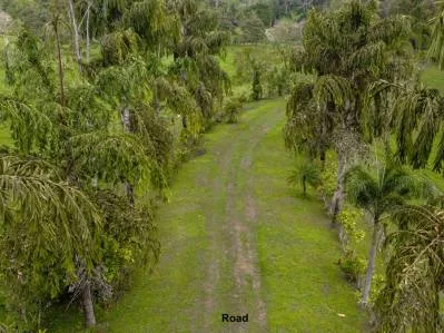 Lotes en proyecto ecologico, photo 7
