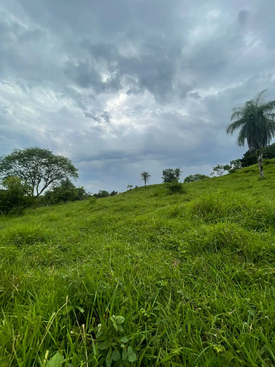 Unique Property for Sale in the Heart of Turrubares – 11 Hectares with Stunning Views, photo 12