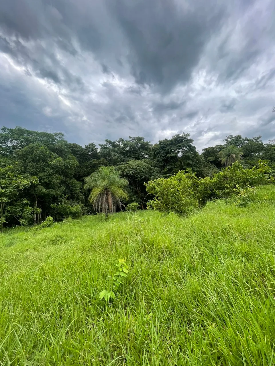 Unique Property for Sale in the Heart of Turrubares – 11 Hectares with Stunning Views, photo 8