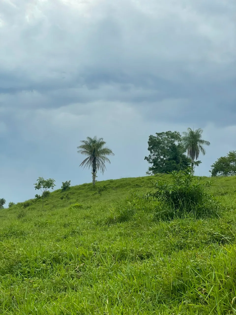Unique Property for Sale in the Heart of Turrubares – 11 Hectares with Stunning Views, photo 10
