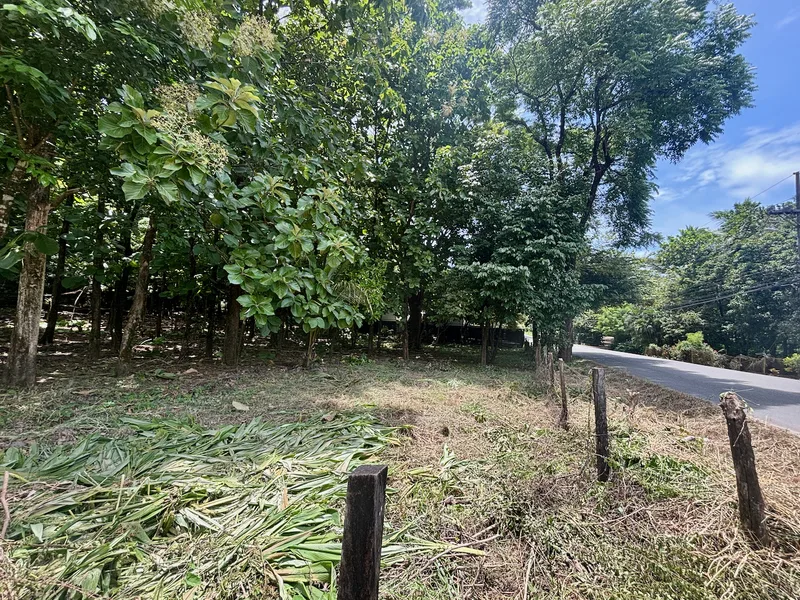 Land For Sale in Nosara