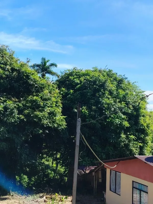 Ideal para quienes gustan disfrutar del contacto con la naturaleza, los bellos paisajes y la tranquilidad ...