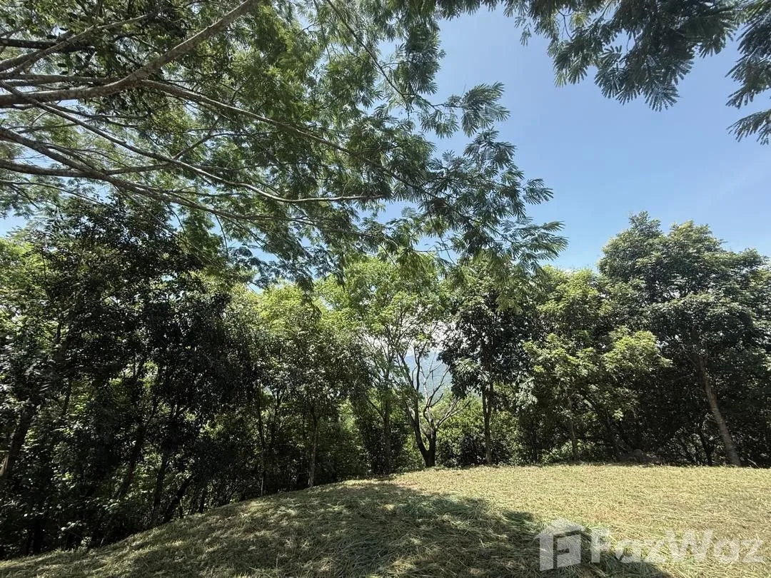 Land for Sale in Turrubares, San Jose for $160,000, photo 11