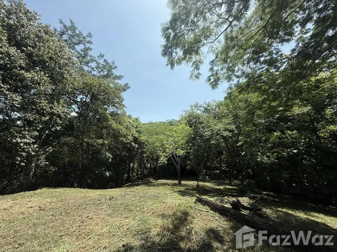 Land for Sale in Turrubares, San Jose for $160,000, photo 12