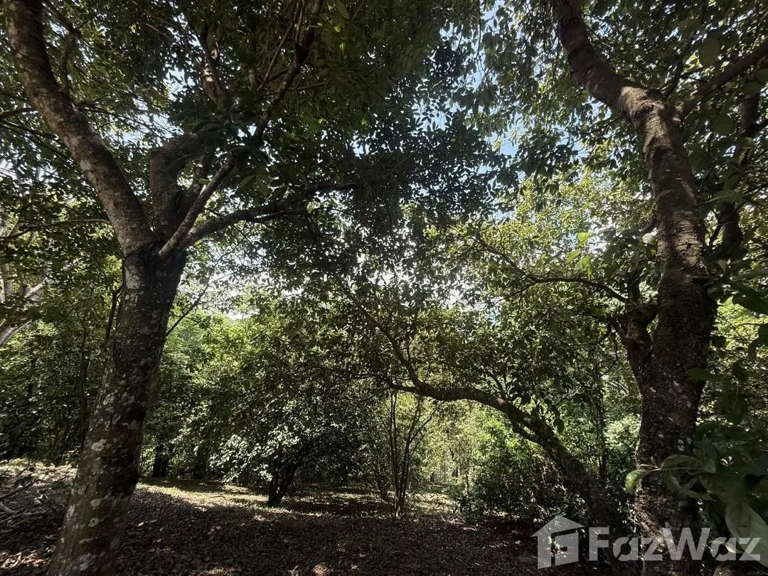 Land for Sale in Turrubares, San Jose for $160,000, photo 4