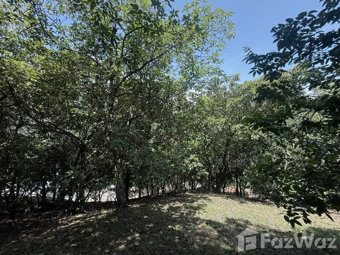 Land for Sale in Turrubares, San Jose for $160,000, photo 5