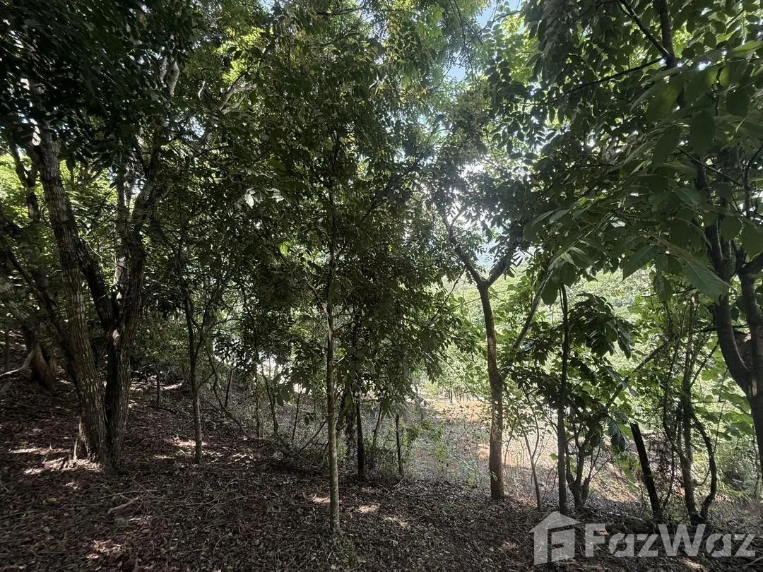 Land for Sale in Turrubares, San Jose for $160,000, photo 6