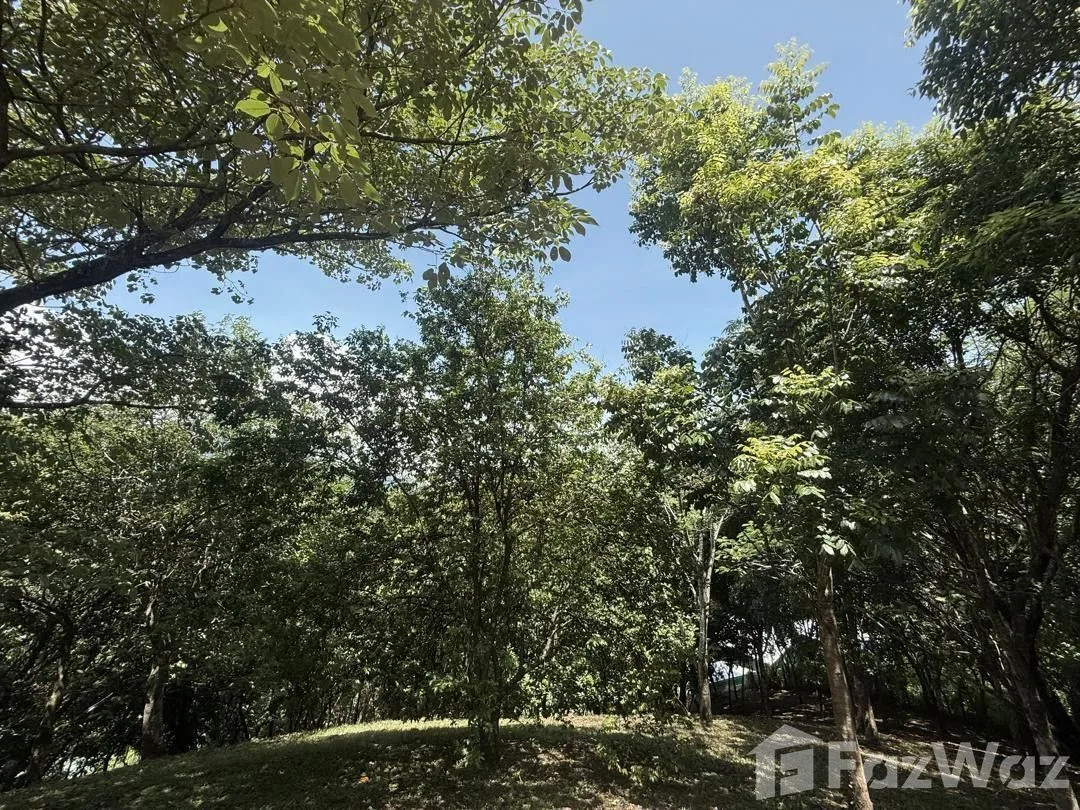 Land for Sale in Turrubares, San Jose for $160,000, photo 8