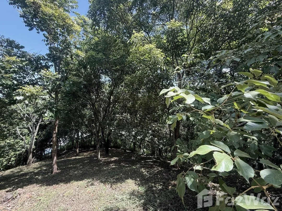 Land for Sale in Turrubares, San Jose for $160,000, photo 9