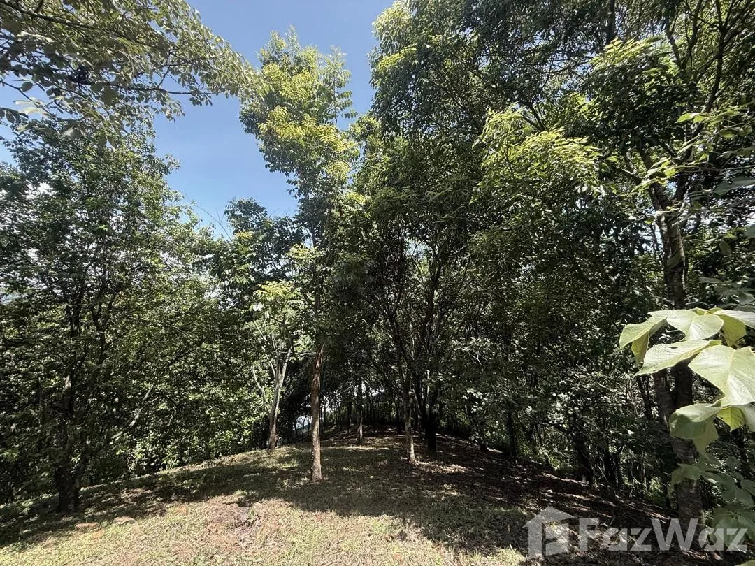 Land for Sale in Turrubares, San Jose for $160,000, photo 10