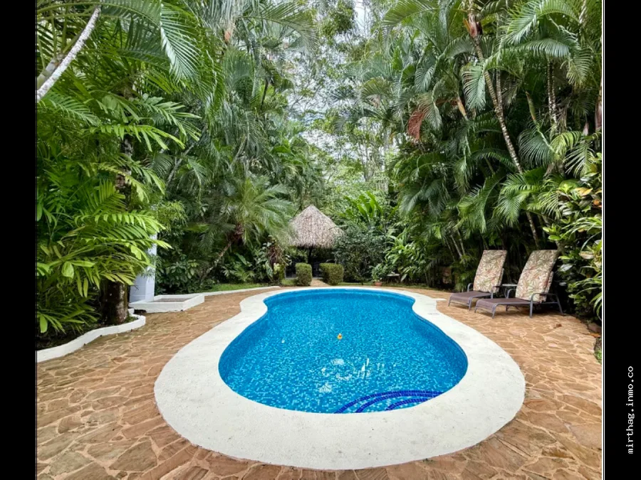 Tropical Paradise With Complete Privacy