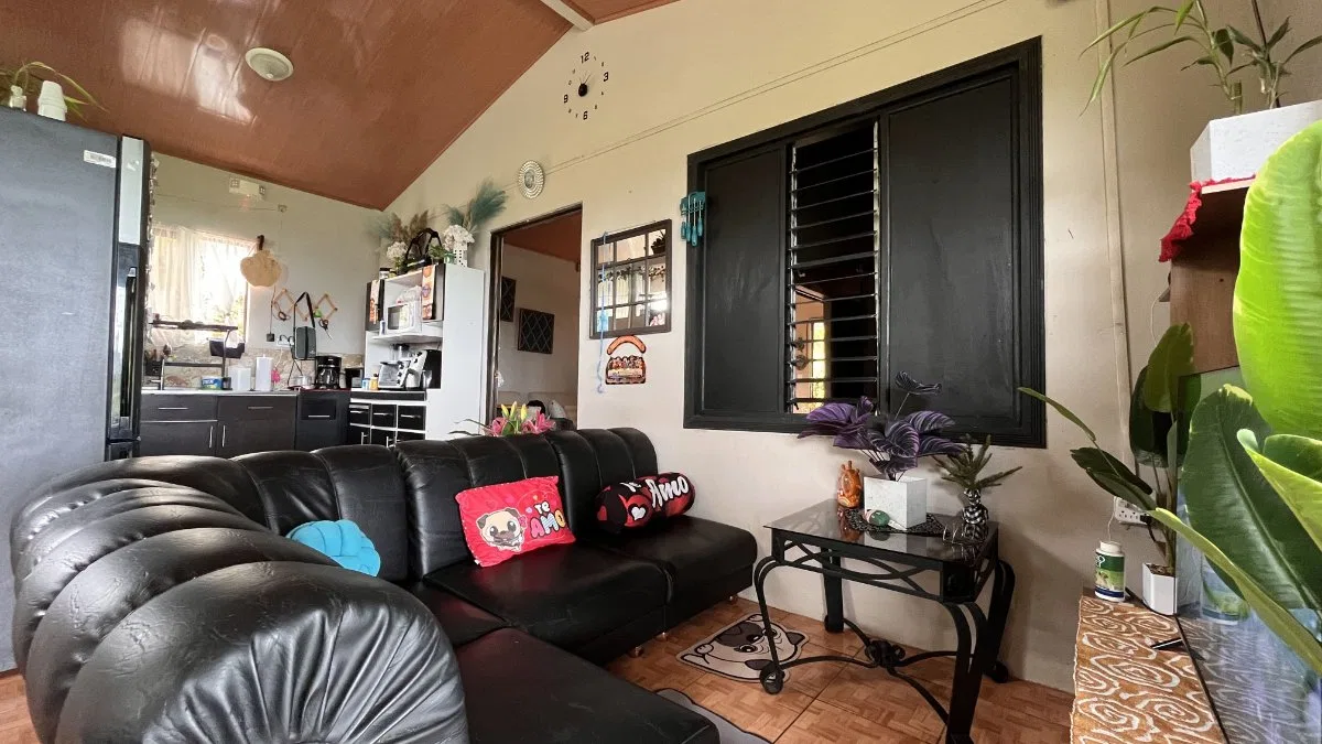 VENTA DE CASA AMUEBLADA DE 2 HABITACIONES EN MATASANOS DE PARAMO, PEREZ ZELEDON - Venta en Pérez Zeledón, photo 8