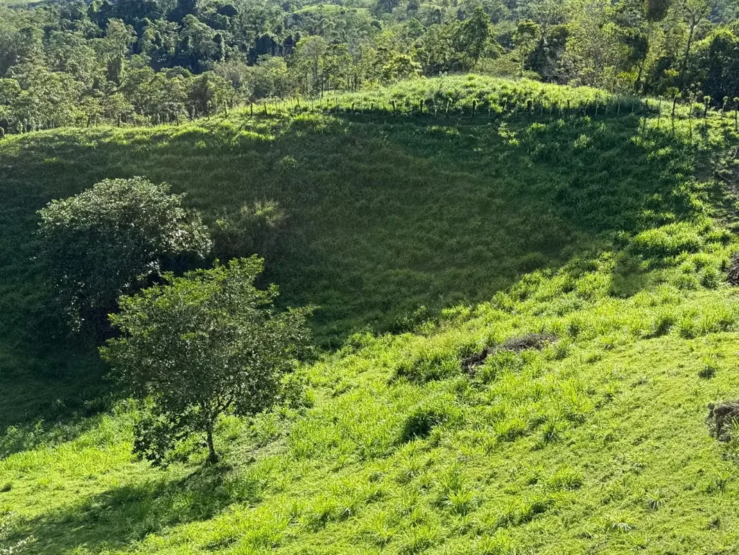 Land for Sale in San Carlos – High-Growth Tourism Area, photo 2
