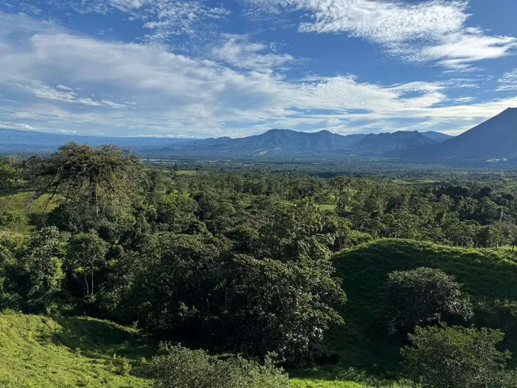 Land for Sale in San Carlos – High-Growth Tourism Area, photo 14