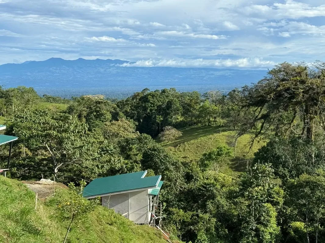Land for Sale in San Carlos – High-Growth Tourism Area, photo 4