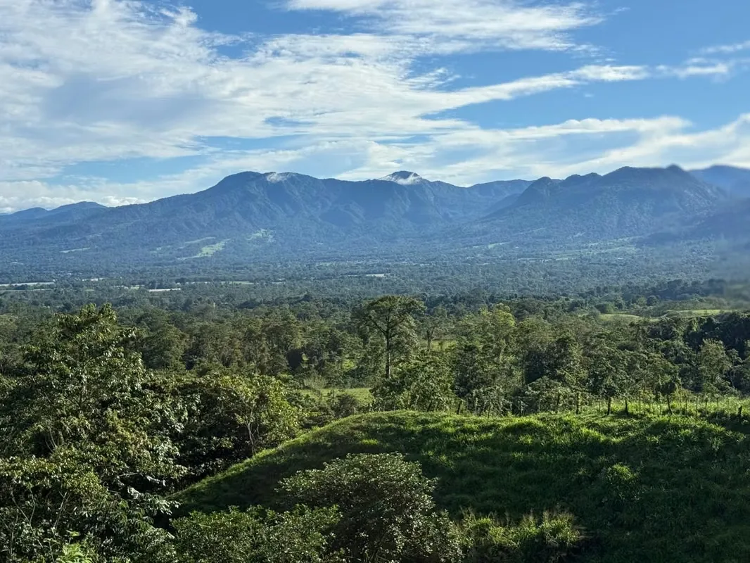 Land for Sale in San Carlos – High-Growth Tourism Area, photo 5