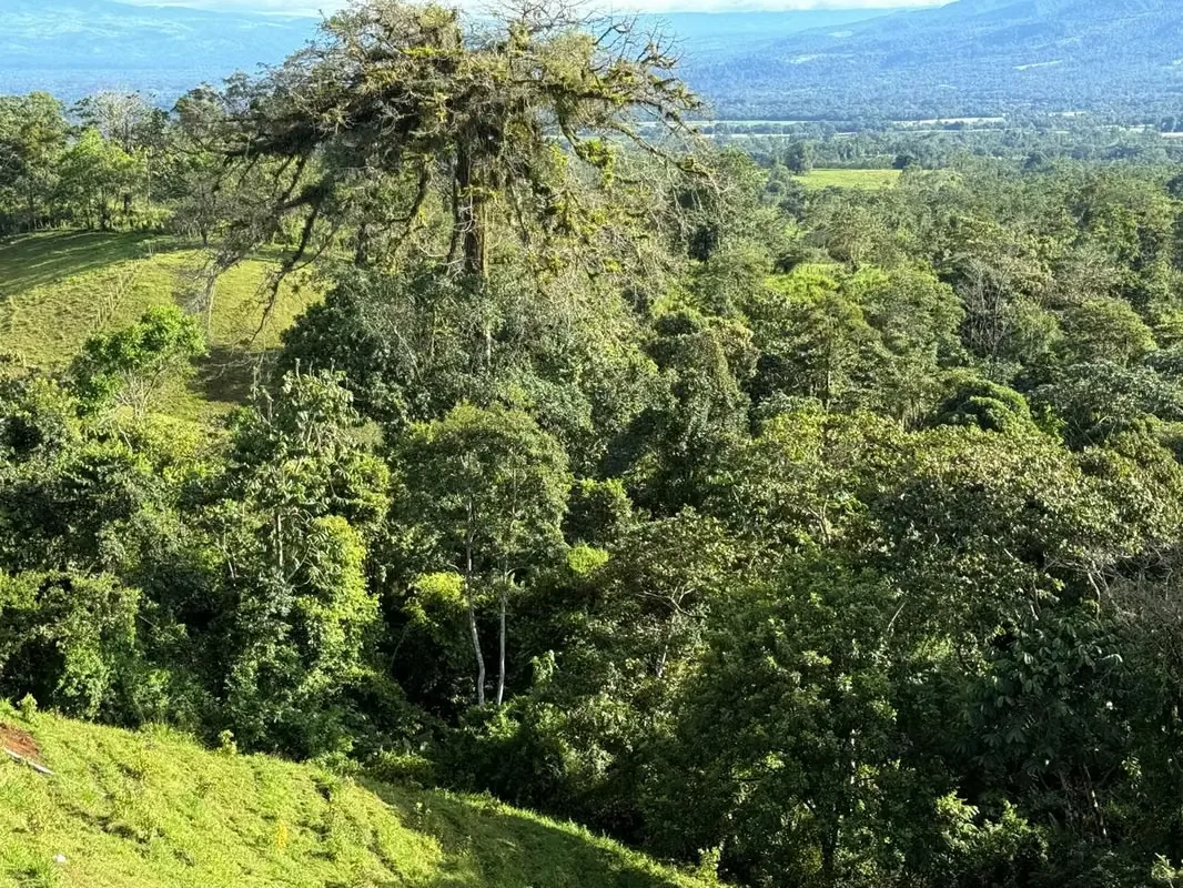 Land for Sale in San Carlos – High-Growth Tourism Area, photo 6