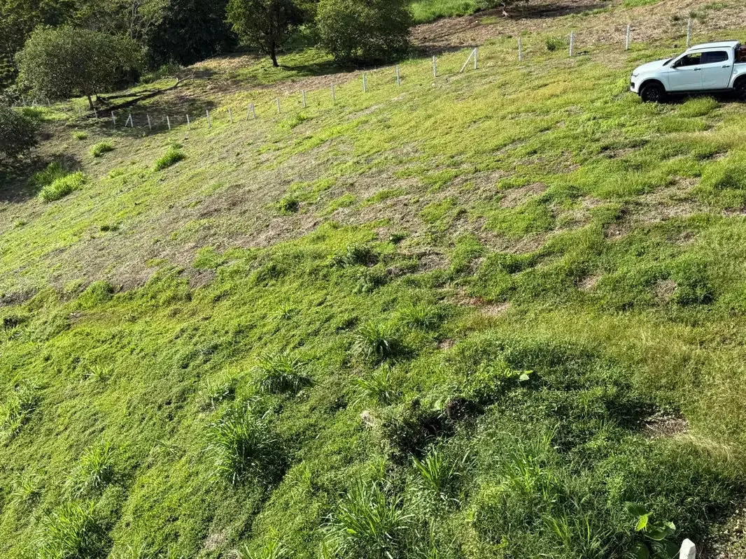 Land for Sale in San Carlos – High-Growth Tourism Area, photo 8