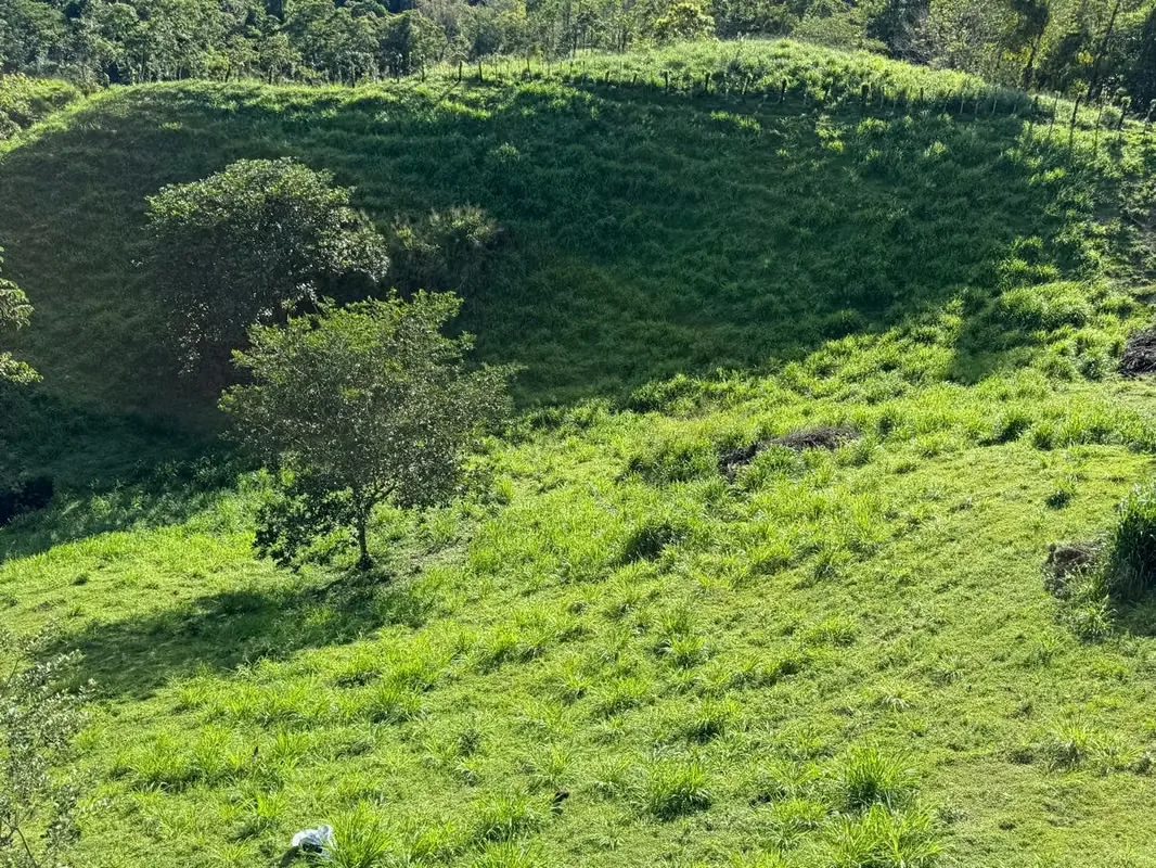 Land for Sale in San Carlos – High-Growth Tourism Area, photo 9