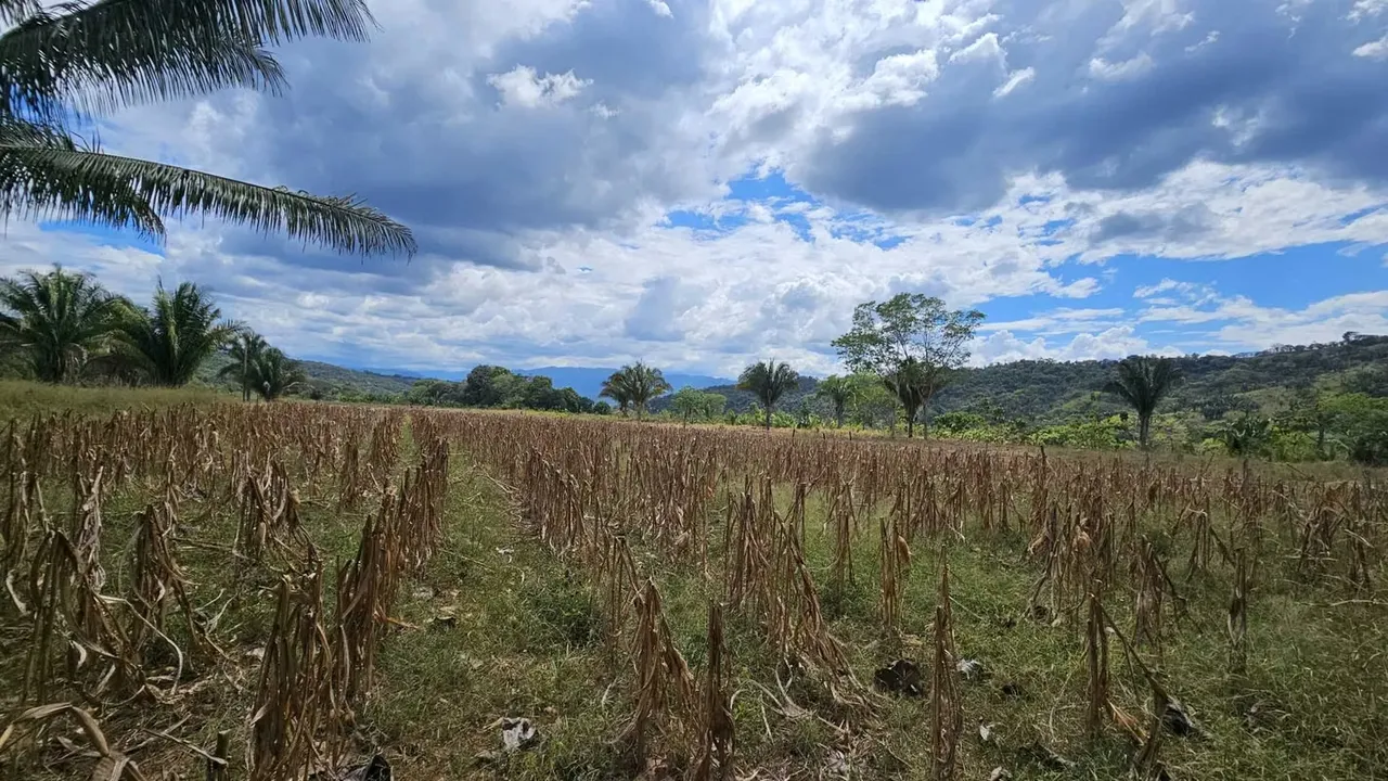 Esta impresionante finca ofrece un entorno natural incomparable con características ideales para la ganadería, la agricultura y mucho más., photo 3