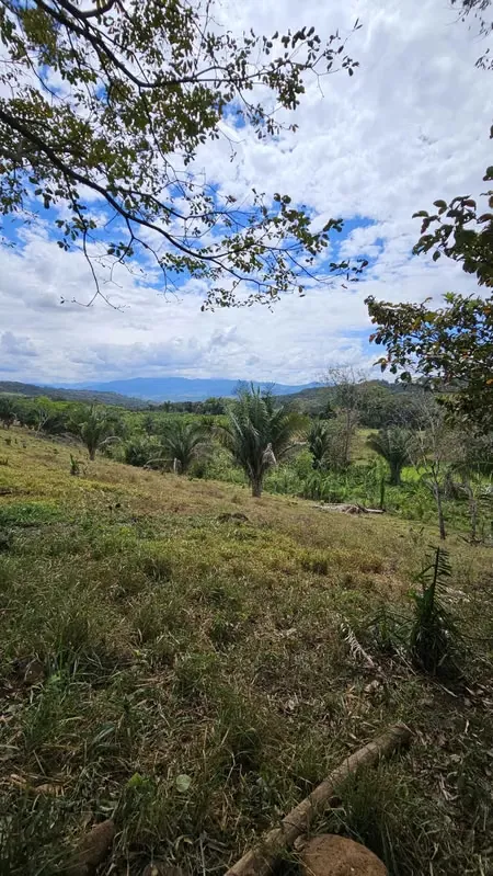 Esta impresionante finca ofrece un entorno natural incomparable con características ideales para la ganadería, la agricultura y mucho más., photo 10
