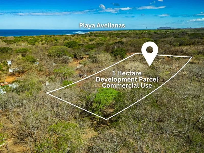 Land For Sale in Avellanas