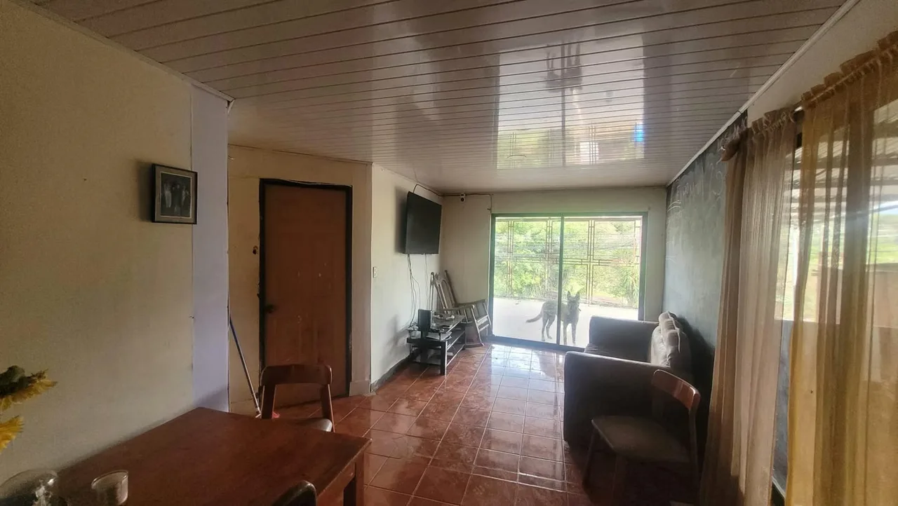 VENTA PROPIEDAD CON 4 APARTAMENTOS Y 1 LOCAL, photo 8