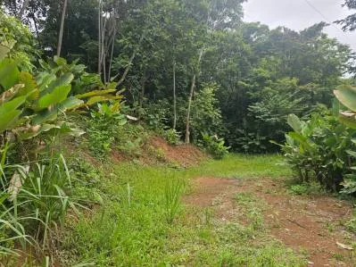 "Descubra su sueño en las mejores propiedades inmobiliarias de Uvita", photo 2